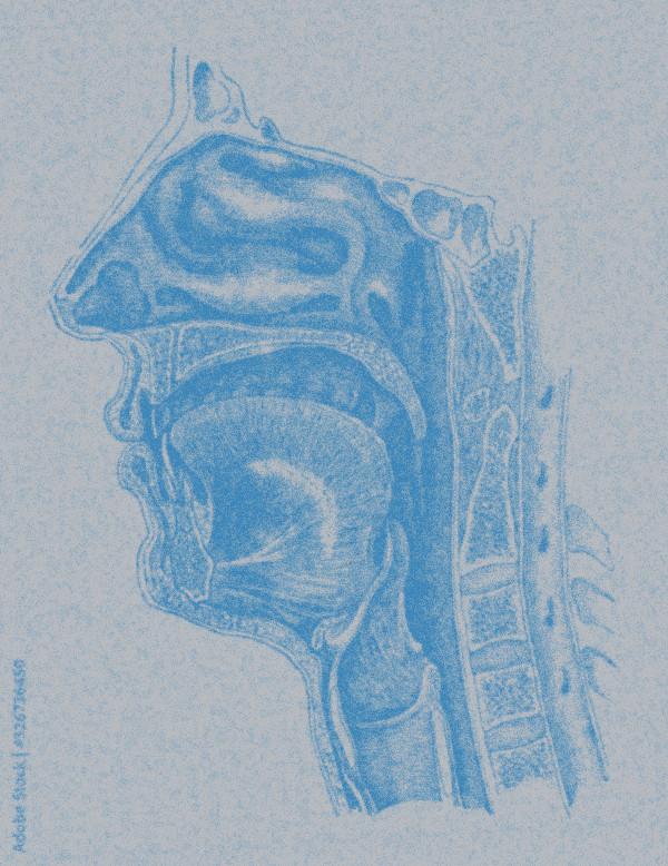 Process diagram illustration